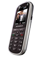 Best available price of Motorola WX288 in Eritrea