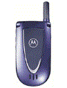 Best available price of Motorola V66i in Eritrea
